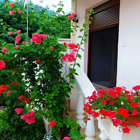 Relax Pozar