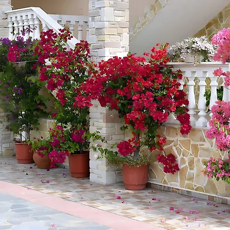 Relax Pozar Πανσιόν 3*